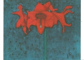 Amaryllis, Piet Mondriaan