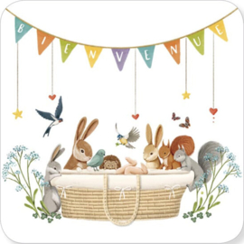 Geboorte, Rosie Hilyer, vierkant