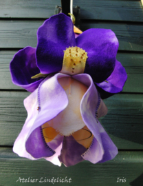 iris, voor het basislampje (zelfmaakpakketje)