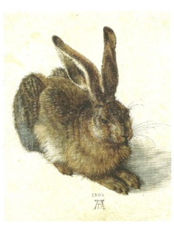 De haas, Albrecht Dürer