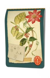 Schetsboek Herbarium, Naturalis A5
