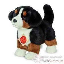 Hond Berner sennen puppy (23 cm)