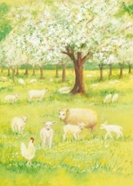 Lammetjes in de boomgaard, Marjan van Zeyl