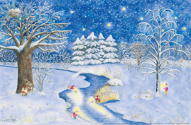 Kerstlicht voor de natuur, Elisabeth Heuberger, A5 met envelop