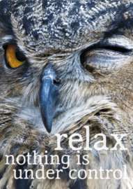 Relax nothing is under control