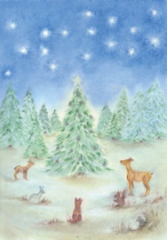 Winterbos, Baukje Exler