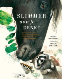 Slimmer dan je denkt / Lotte Stegeman