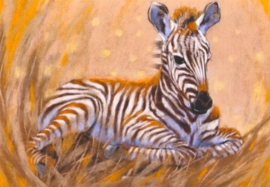 Zebra, Loes Botman