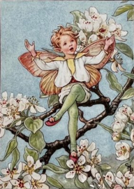 Flower fairies peren bloesem, dubbel kaartje met envelop