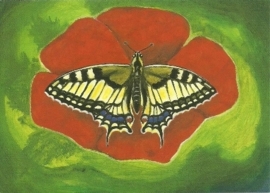 Vlinder op rode bloem, Heike Stinner