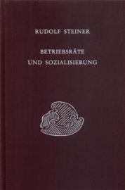 Betriebsräte und Sozialisierung Diskussionsabende mit den Arbeiterausschüssen der grossen Betriebe Stuttgarts, 1919 GA 331/ Rudo