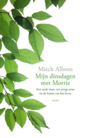 Mijn dinsdagen met Morrie / Mitch Albom