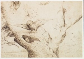 Uilennest tekening, Jheronimus Bosch