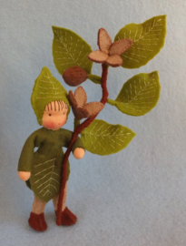 Beuk (zelfmaakpakketje)