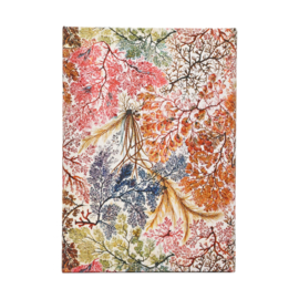 12 maands agenda Paperblanks 2027 Anemone Midi Horizontal