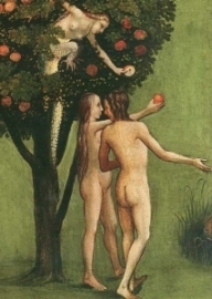 Adam en Eva uit Laatste oordeel, Jheronimus Bosch