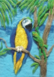 Papegaai, Heike Schwarzgruber