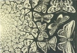 Vlinders, houtgravure, M.C. Escher