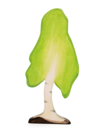 Berk groot