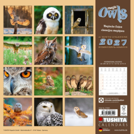 Magic Owls, 30x30cm maandkalender 2027