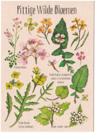 Pittige Wilde Bloemen, Tanja Hilgers