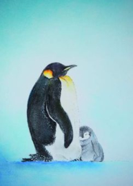 Pinguins, Brechtje Duijzer