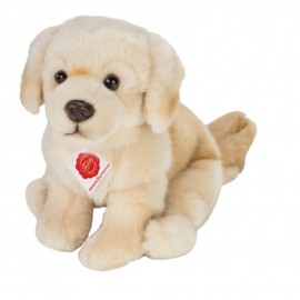 Hond Golden retriever, zittend ( 25 cm)