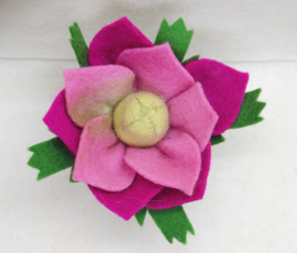 Bloemknop roze-paars