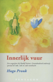 Innerlijk vuur / Hugo Pronk