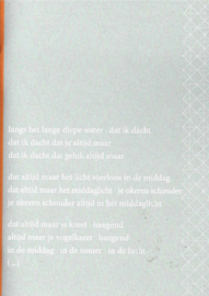 Schriftje Lamento 3 van Remco Campert, Plint