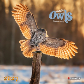 Magic Owls, 30x30cm maandkalender 2027