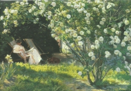 Rozentuin, Peter Kroyer