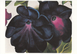 Zwart met violette petunia's, Georgia O'Keeffe