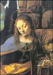 De madonna in de rotsgrot (detail), Leonardo da Vinci