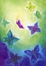 De vlinders, Baukje Exler