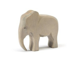 Olifant mannetje