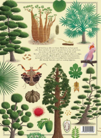 Grote bomenboek / Socha
