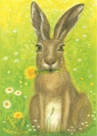 Haas in het gras, Heike Stinner