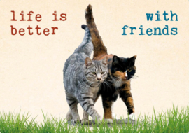 Life is better with friends