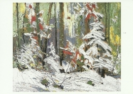 Bosinterieur in winter, Tom Thomson