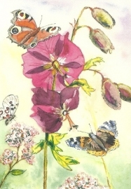 Malva en vlinders, Anne Wenzel