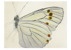 Kleine vlinder II, Renate Kuby