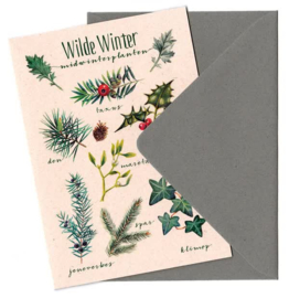Wilde Winter, Tanja Hilgers