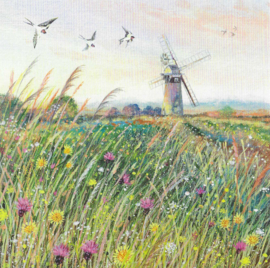 Molen en zwaluwen, Lucy Grossmith