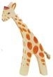 Giraffe Klein Kop Laag