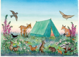 Twee in een tent, Molly Brett