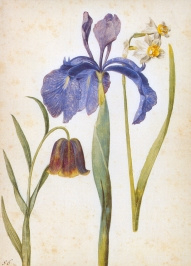 Lentebloemen