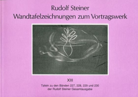 Wandtafelzeichnungen zum Vortragswerk GA k 58/13 / Rudolf Steiner