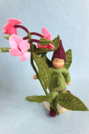 Springbalsemien (zelfmaakpakketje)