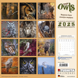 Magic Owls,  Kalender 2025